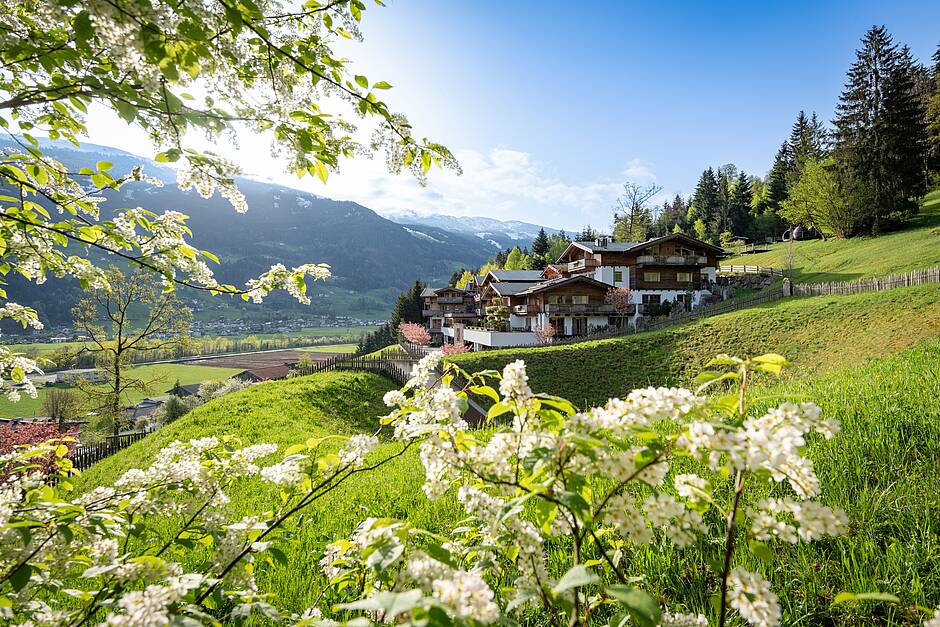 Frühlingsurlaub in Österreich im Hotel Das Kaltenbach